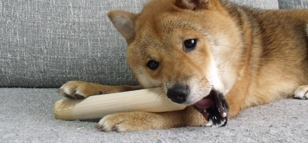 ケンカ棒の種類