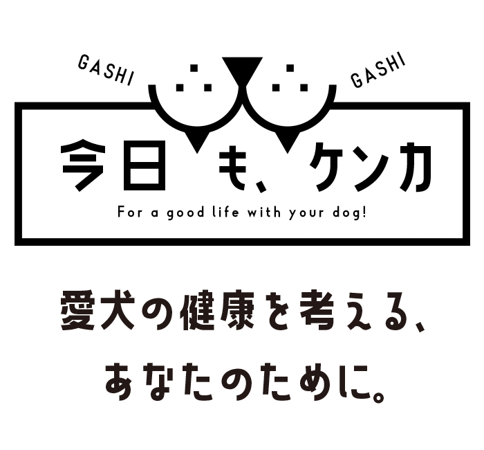 「今日も、ケンカ」愛犬の健康を考えるあなたのために。
